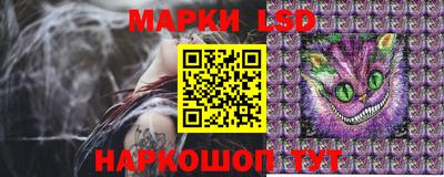 гашик Можга