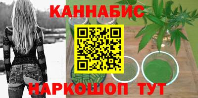 гашик Можга