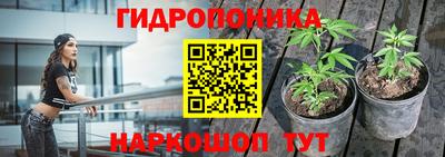 гашик Можга